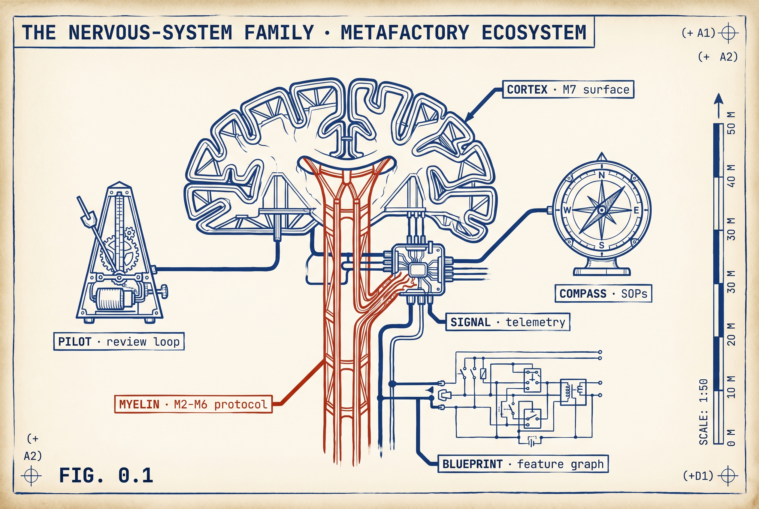 Anatomical-blueprint schematic of the metafactory ecosystem drawn as a nervous system. Brain labeled cortex. Spine in accent red labeled myelin. Synaptic node labeled signal. Metronome labeled pilot. Compass labeled compass. Wiring diagram labeled blueprint.